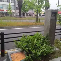 フェニックス通りの写真・動画_image_584769