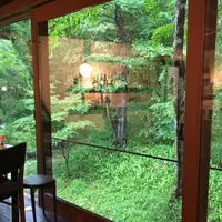 ボリジの写真・動画_image_585662