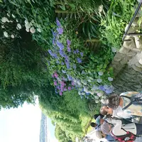 成就院の写真・動画_image_586045
