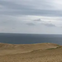 鳥取砂丘の写真・動画_image_586351