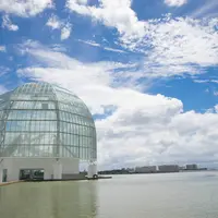 葛西臨海水族園の写真・動画_image_586374