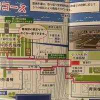 豊洲市場の写真・動画_image_598113
