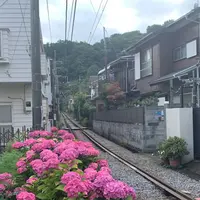 長谷駅の写真・動画_image_598510