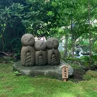 長谷寺の写真・動画_image_598516