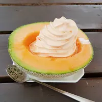 とみたメロンハウスの写真・動画_image_603833