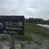 弥陀ヶ原の写真・動画_image_605589
