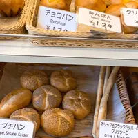 ブーランブーランの写真・動画_image_605903