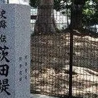 茨田堤の写真・動画_image_609941