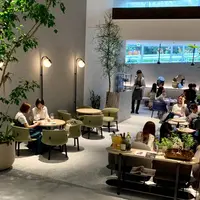 KASHIYAMA DAIKANYAMAの写真・動画_image_610525