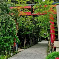 來宮神社の写真・動画_image_612344