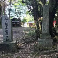姫丸稲荷大明神の写真・動画_image_612678
