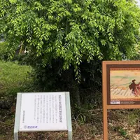 恵比寿神社・十二柱神社の写真・動画_image_612682