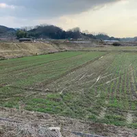 継体天皇磐余玉穂宮跡の写真・動画_image_612688