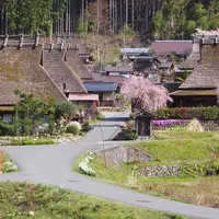 美山かやぶきの里の写真・動画_image_615951