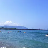 三国サンセットビーチの写真・動画_image_616196