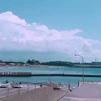 かもめ通りの写真・動画_image_616207