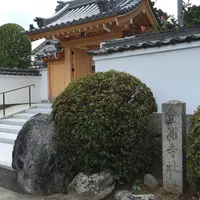 推古天皇豊浦宮跡の写真・動画_image_617008