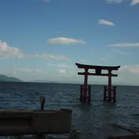 白鬚神社の写真・動画_image_618648