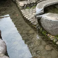 八幡町新町の写真・動画_image_619055