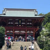 鶴岡八幡宮の写真・動画_image_622103