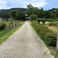 戒壇院の写真・動画_image_622834