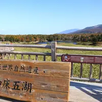 知床五湖の写真・動画_image_623847
