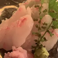 ごえん下北沢店の写真・動画_image_624937