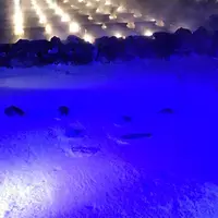 草津温泉の写真・動画_image_627201