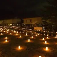 奈良国立博物館の写真・動画_image_629379