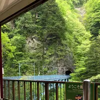 黒部峡谷の写真・動画_image_629670