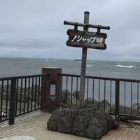 ノシャップ岬の写真・動画_image_629924