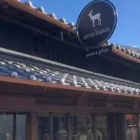 cervo biancoの写真・動画_image_630158