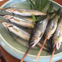 鮎料理 松水の写真・動画_image_631960