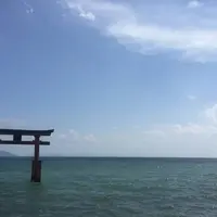 白鬚神社の写真・動画_image_631963
