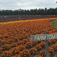 ファーム富田の写真・動画_image_632719