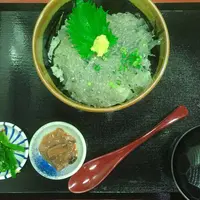 江の島　貝作の写真・動画_image_632942