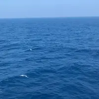 新日本海フェリー 小樽フェリーターミナルの写真・動画_image_632946