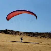 鳥取砂丘の写真・動画_image_633338