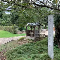 下野薬師寺跡の写真・動画_image_634228