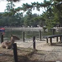 鏡池の写真・動画_image_636326