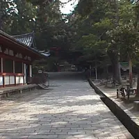 鏡池の写真・動画_image_636327