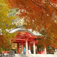下総国一宮 香取神宮の写真・動画_image_636434