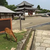 奈良東大寺境四月堂の写真・動画_image_638846