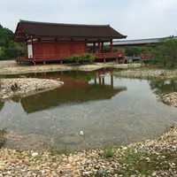 平城京左京三条二坊宮跡庭園の写真・動画_image_638859