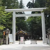 白山比咩神社の写真・動画_image_640910