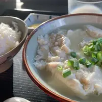 とうふの比嘉の写真・動画_image_641608