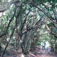 芥屋の大門公園の写真・動画_image_642672
