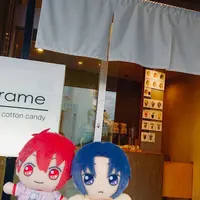 zarameの写真・動画_image_642847