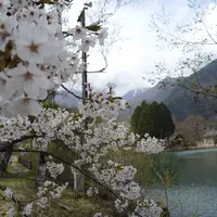 駒ケ池の写真・動画_image_644757