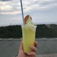 砂丘センター 見晴らしの丘の写真・動画_image_645923